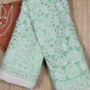 Pastel Green Mukaish Chikankari Saree with Gota Patti Border