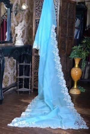 Sky blue parsi embroidery cut work border Organza silk saree