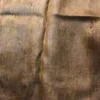 Sap Green Tussar Eco Print Saree