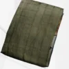Light Green Tussar Zari Hand Painted Saree