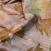 Peach Tussar Eco Printed Saree