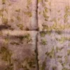Peach Tussar Eco Printed Saree