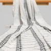White Cotton Chikankari Saree