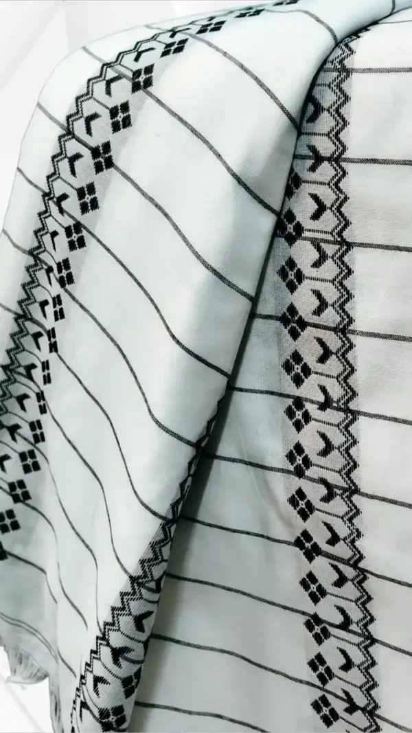 White Cotton Chikankari Saree