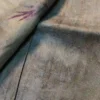 Light green color eco printed Tussar silk saree Saree