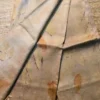 Biscuit color eco printed Tussar silk saree Saree