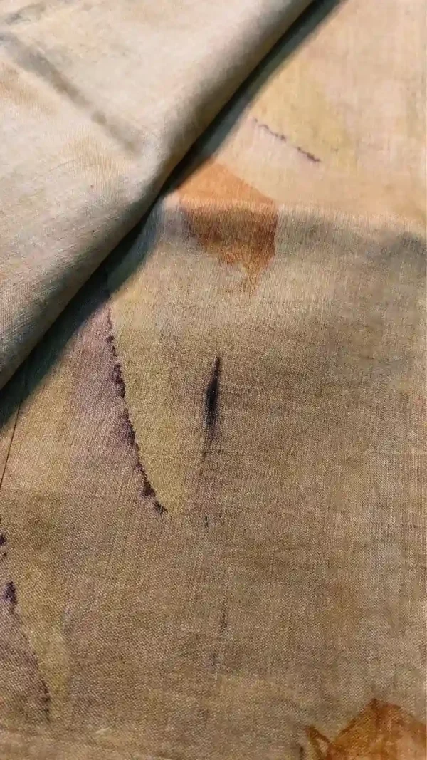 Biscuit color eco printed Tussar silk saree Saree