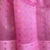 Baby Pink Resham Zari Saree