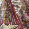 Beige Tussar Fish Gicha Saree