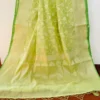 Pesta Green on self work Organza saree