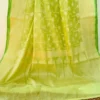 Pesta Green on self work Organza saree