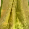 Pesta Green on self work Organza saree