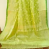 Pesta Green on self work Organza saree