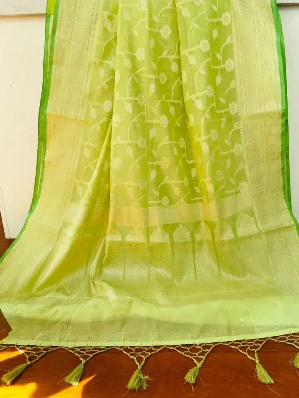 Pesta Green on self work Organza saree