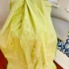 Pesta Green on self work Organza saree