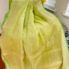 Pesta Green on self work Organza saree