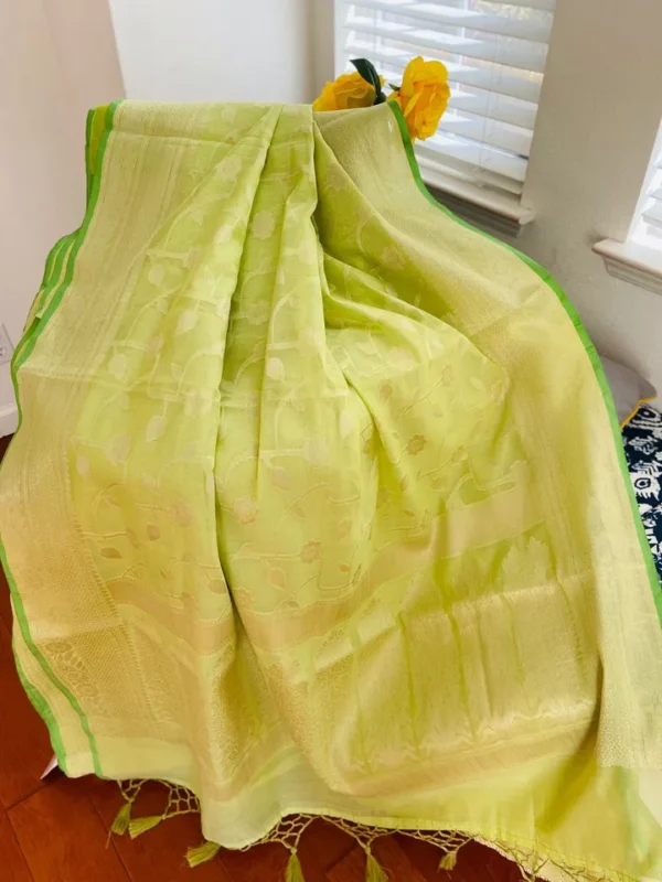 Pesta Green on self work Organza saree