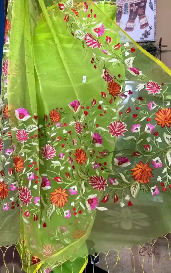 Green on Multicolor Resham Embroidery Cotton Silk Saree