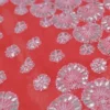 Red Georgette Chikankari Saree