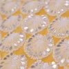 Solar Yellow Georgette Chikankari Saree