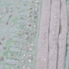 Mint Green Georgette Chikankari Saree