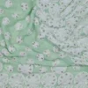 Mint Green Georgette Chikankari Saree