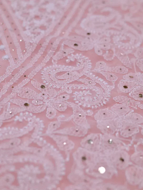 Light Pink Pure Georgette Mukaish Work Lucknowi Chikankari Saree