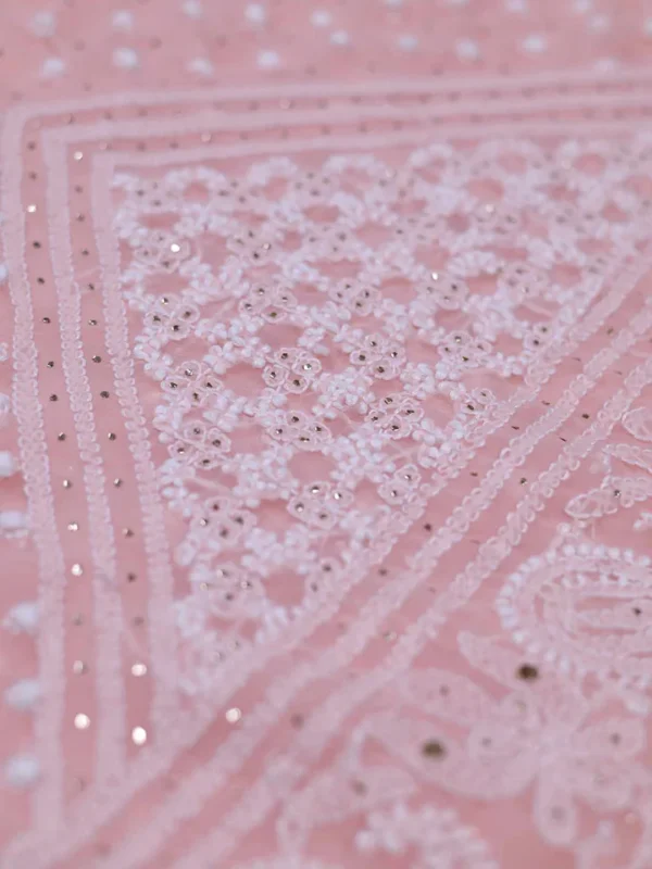Light Pink Pure Georgette Mukaish Work Lucknowi Chikankari Saree