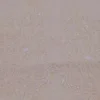 Cream Pure Georgette Pearl Work Lucknowi Chikankari Saree