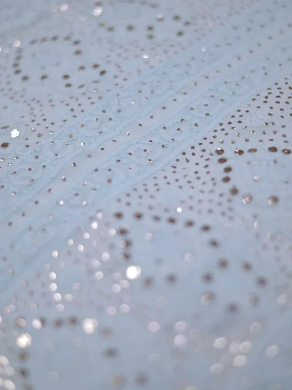 Sky Blue Pure Georgette Mukaish Work Lucknowi Chikankari Saree