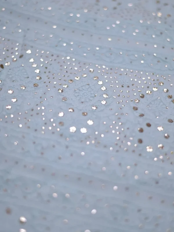 Sky Blue Pure Georgette Mukaish Work Lucknowi Chikankari Saree