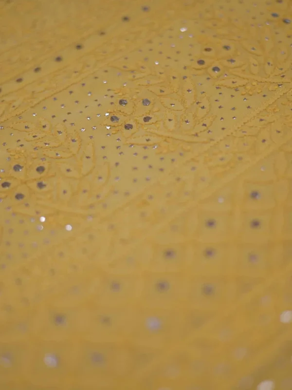 Lucknowi Chikankari saree