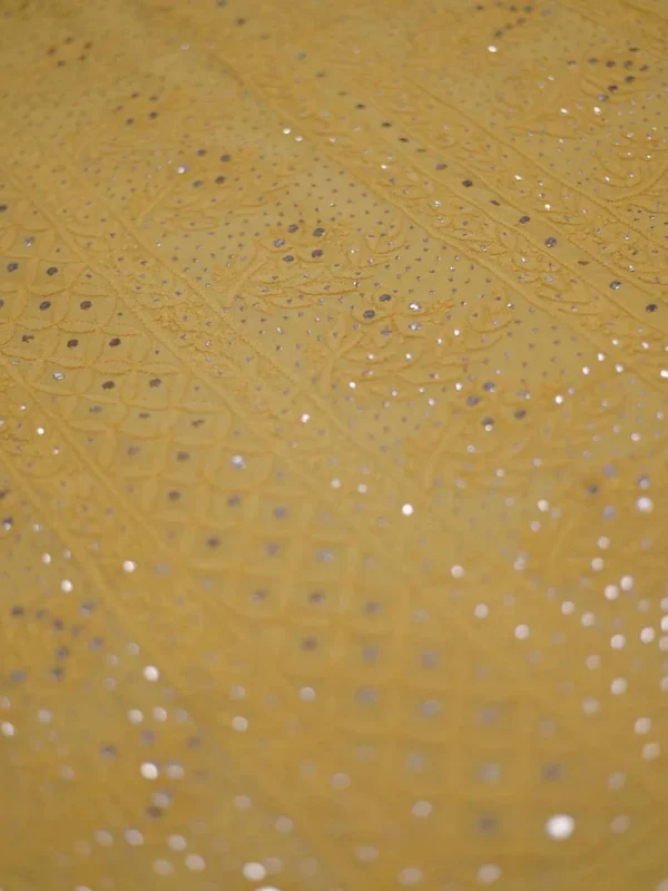 Lucknowi Chikankari saree