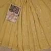 Lucknowi Chikankari saree