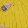 Yellow Georgette Chikankari Saree