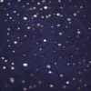 Navy Blue Pure Georgette Mukaish Work Lucknowi Chikankari Saree