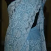 Sky Blue Georgette Chikankari Saree