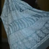 Sky Blue Georgette Chikankari Saree