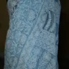 Sky Blue Georgette Chikankari Saree