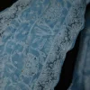Sky Blue Georgette Chikankari Saree