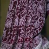 Lucknowi Chikankari saree
