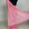 Hot Pink Georgette Chikankari Saree