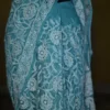 Sea Green Georgette Chikankari Saree