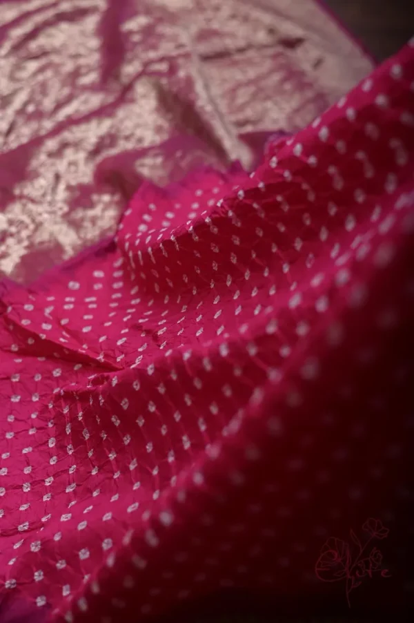 Magenda Benarasi on golden zari par gujrati butta Khadi Chiffon Handloom Saree