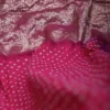 Magenda Benarasi on golden zari par gujrati butta Khadi Chiffon Handloom Saree