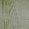 Pesta Green on Golden Tanchuee work on Katan silk saree