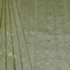 Pesta Green on Golden Tanchuee work on Katan silk saree