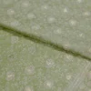 Pesta Green on Golden Tanchuee work on Katan silk saree