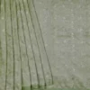 Pesta Green on Golden Tanchuee work on Katan silk saree