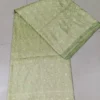 Pesta Green on Golden Tanchuee work on Katan silk saree
